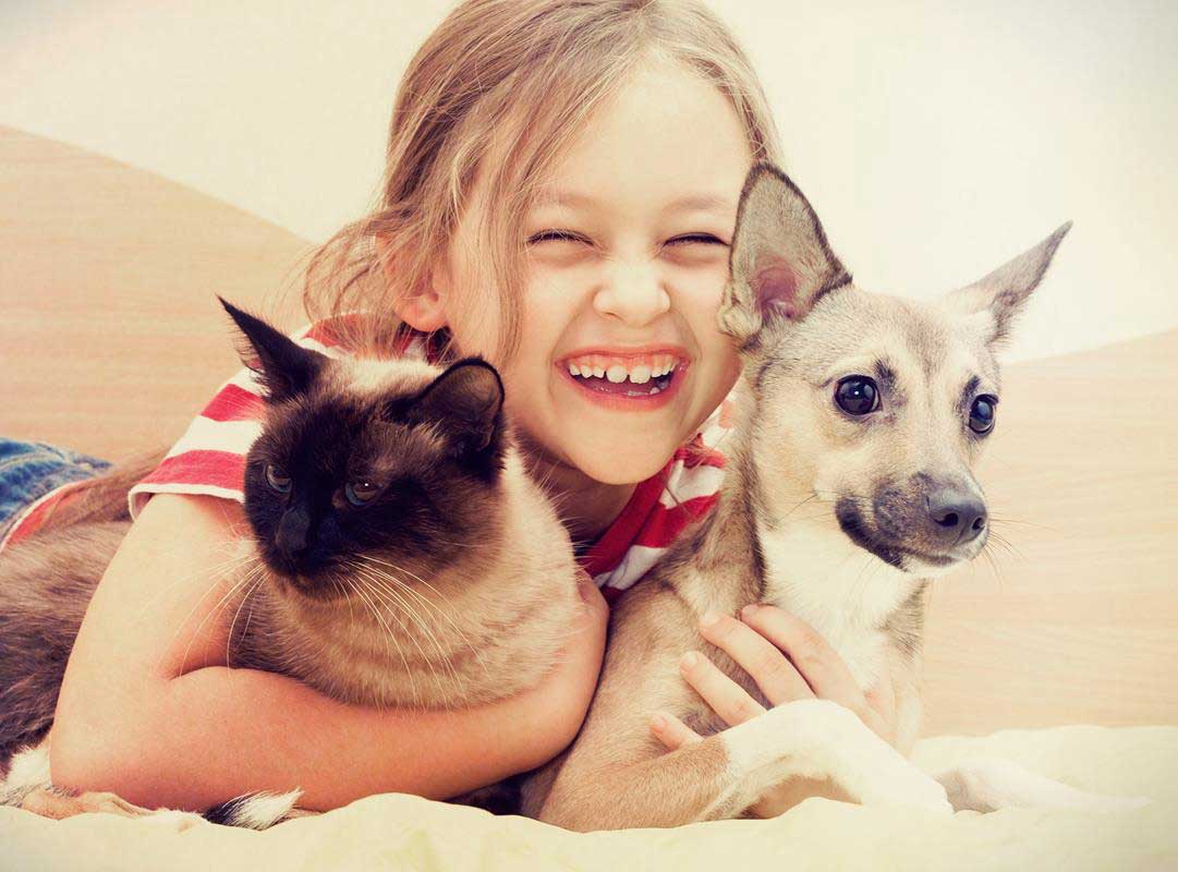 Pet vaccination at Hub City Veterinary Clinic in Lubbock, TX